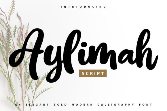 Aylimah: Bold Calligraphy for Authentic Design