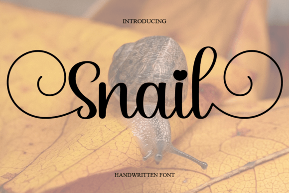 Snail: The Handwritten Font That Feels Like a Conversation